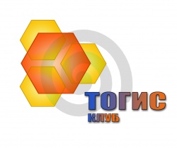 Профессиональное педагогическое сообщество - ТОГИС-клуб (Технология образования в глобальном информационном сообществе) 